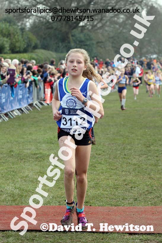 Girls under-13s 2016 Inter Counties Cross Country Champs. and Cross Challenge Final, Cofton Park, Birmingham. Photo: David T. Hewitson/Sports for All Pics